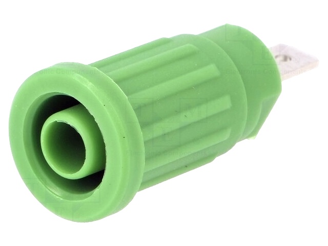 SEPB 6451 NI / GN SCHÜTZINGER product image